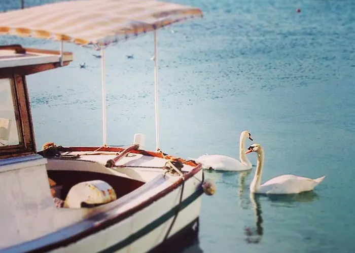 Maresol شقة زادار